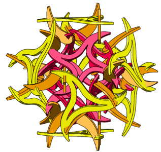 Sun Star
